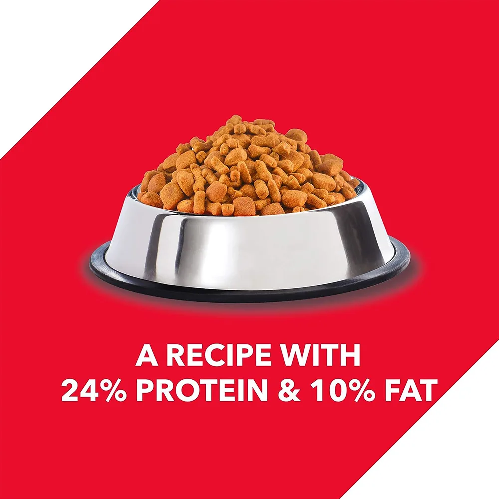 Chicken and Egg Dog Food - Image 3